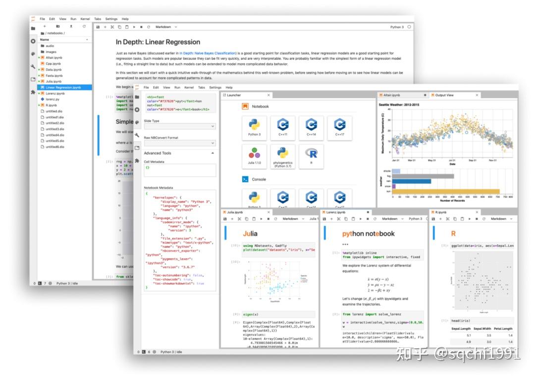  jupyter debug 