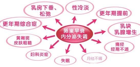 红房子妇科医院的崭新面貌与专业服务