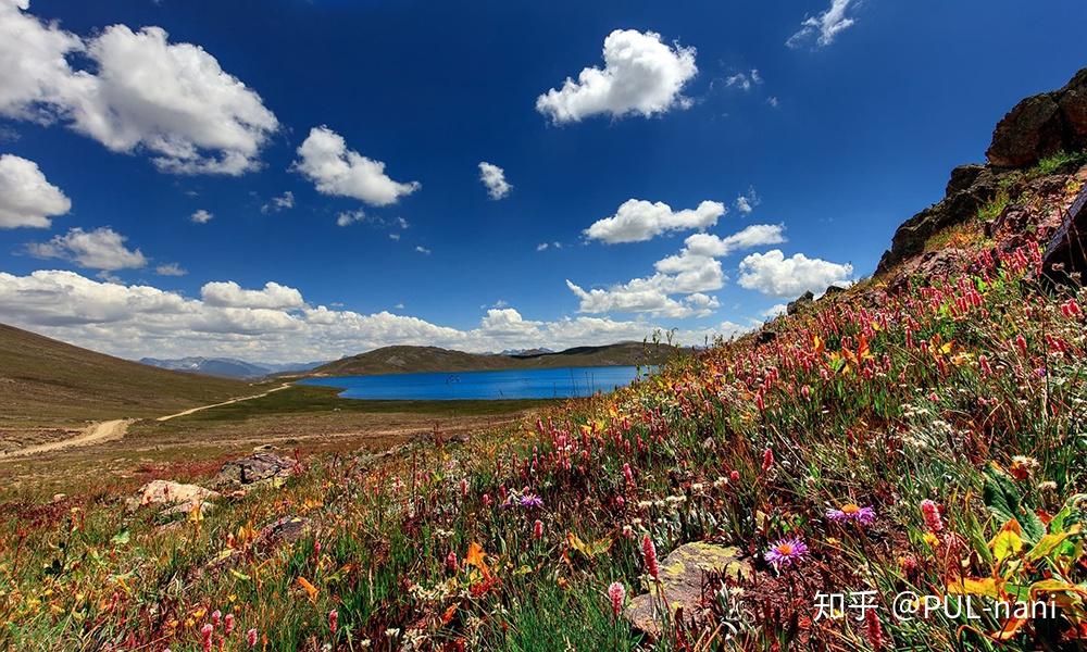 巴基斯坦:吉尔吉特-巴尔蒂斯坦的小村落正大力地挽救着当地的传统音乐