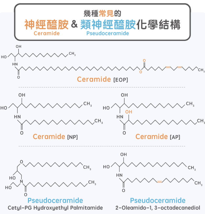 神经酰胺到底是什么?可能产生什么功效?专家完整解密!