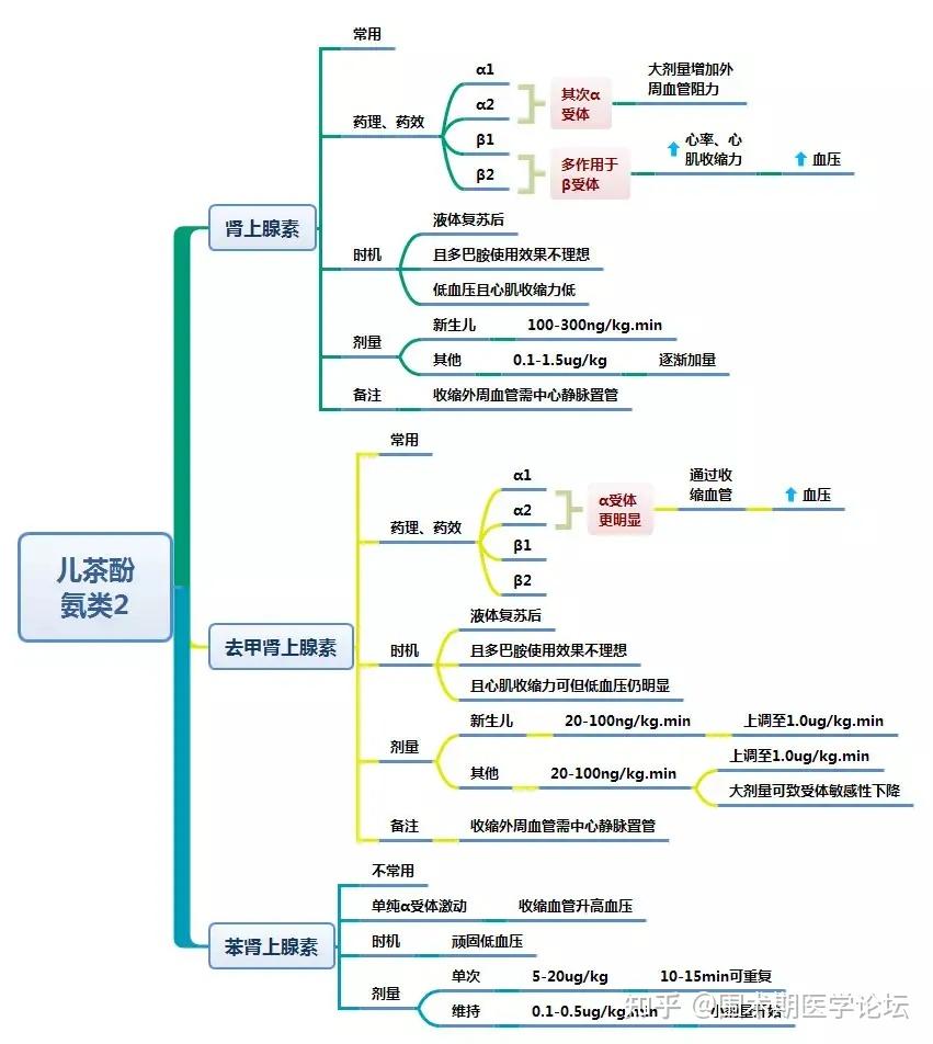 围术用药丨各种休克与血管活性药物的使用