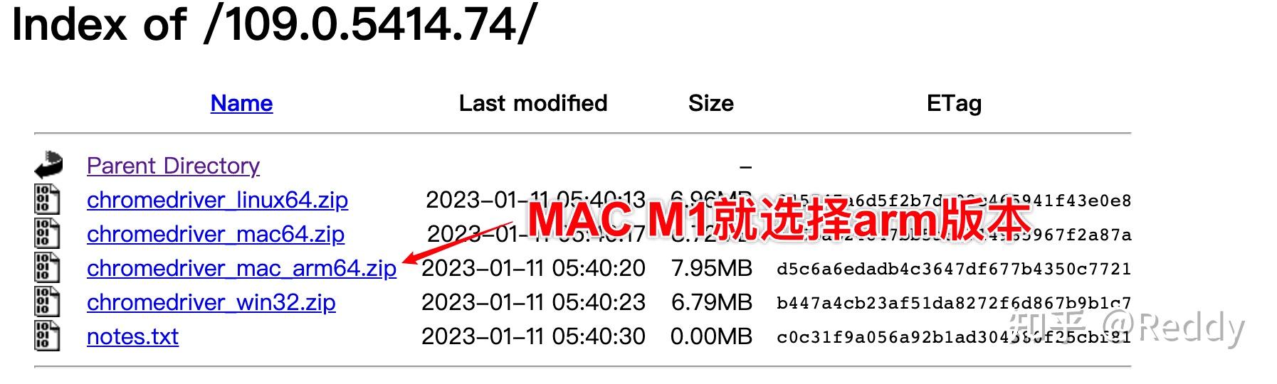 mac-m1-selenium-chrome