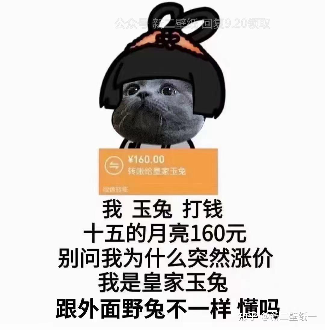 v2-d1764ee07cd5574c23cd36a36aee7fbd_r.jpg