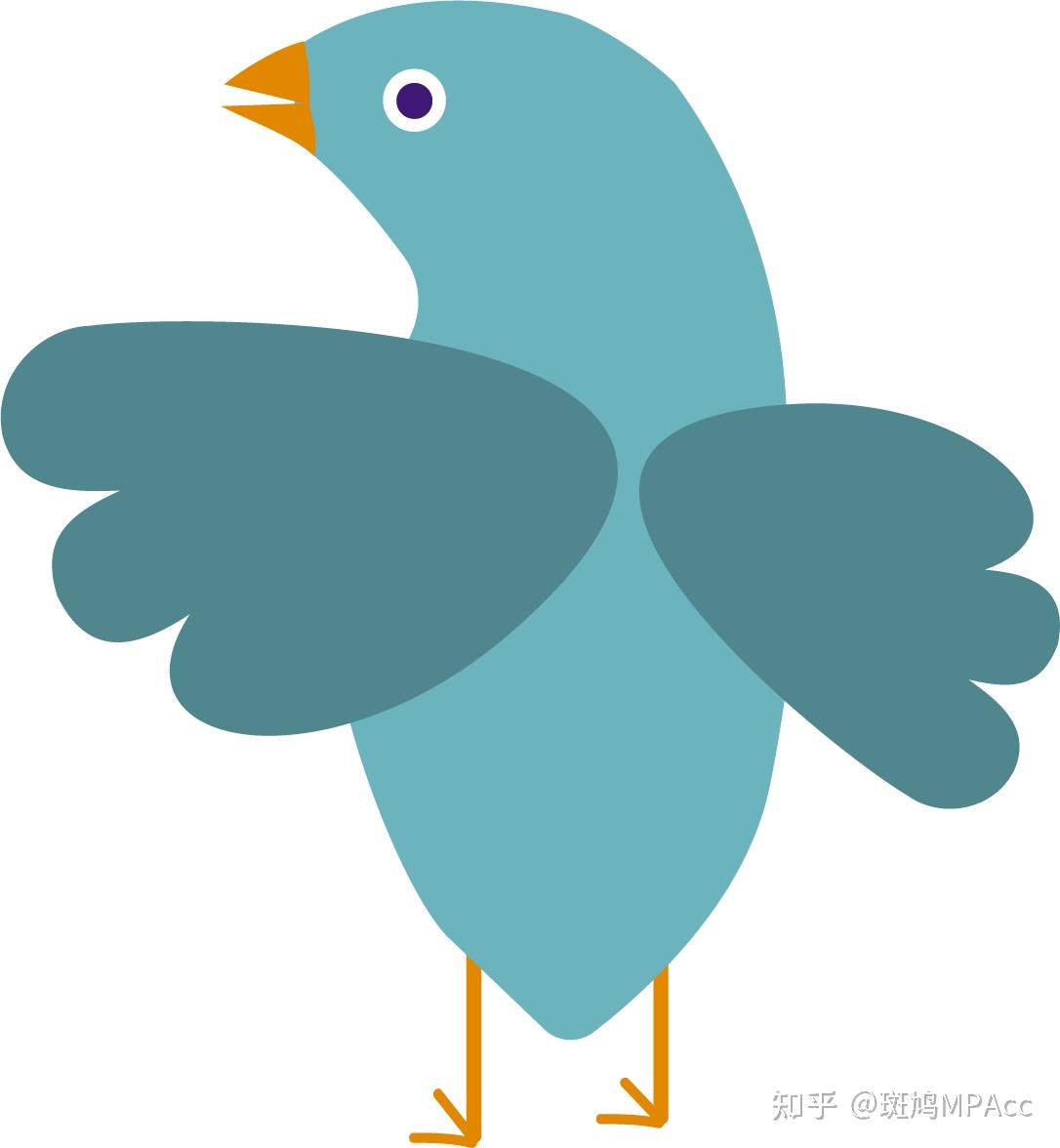 斑鸠老师开课啦教你一文弄懂会计和财管