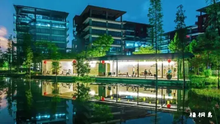 梧桐 CEO 早茶会