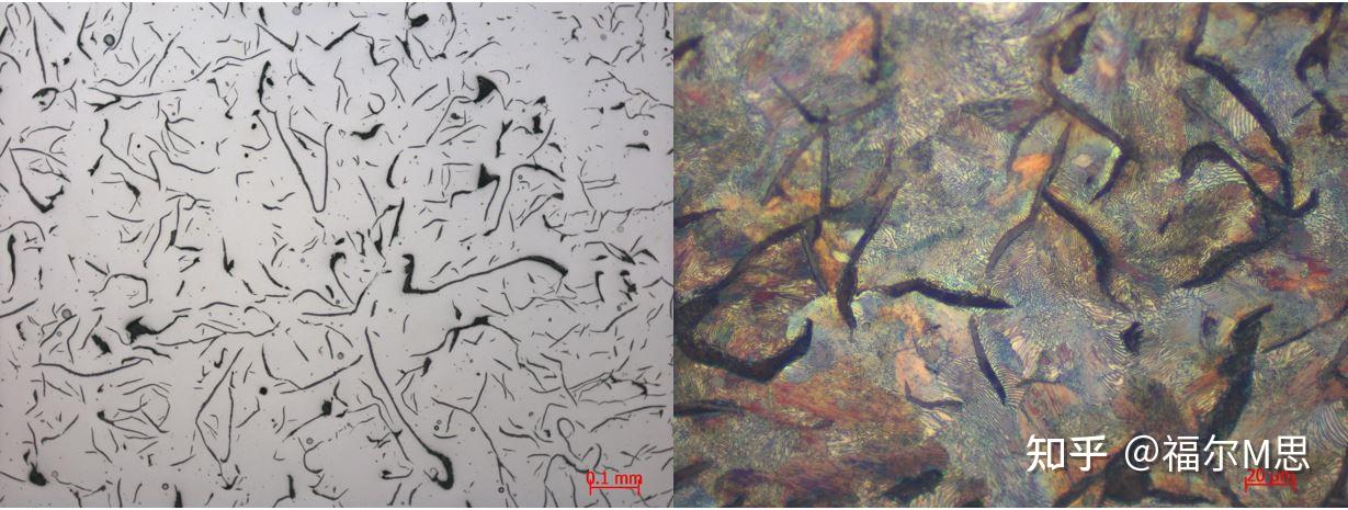 看图识金相系列七pigiron猪铁
