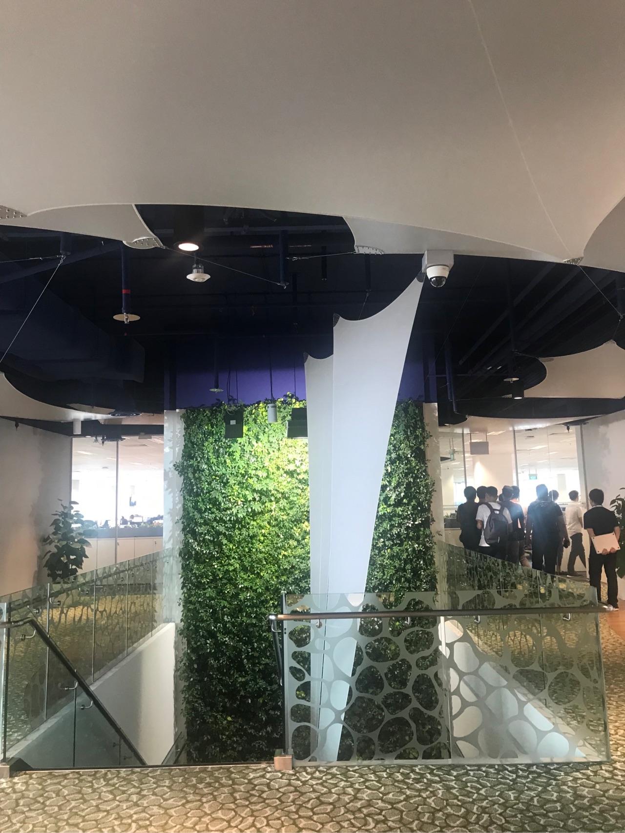 中国人在新加坡sea集团garena shopee工作是