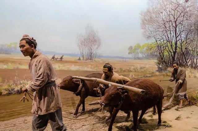 唐朝5亿亩地养活六千万人隋朝有55亿亩为何仍亡于农民起义