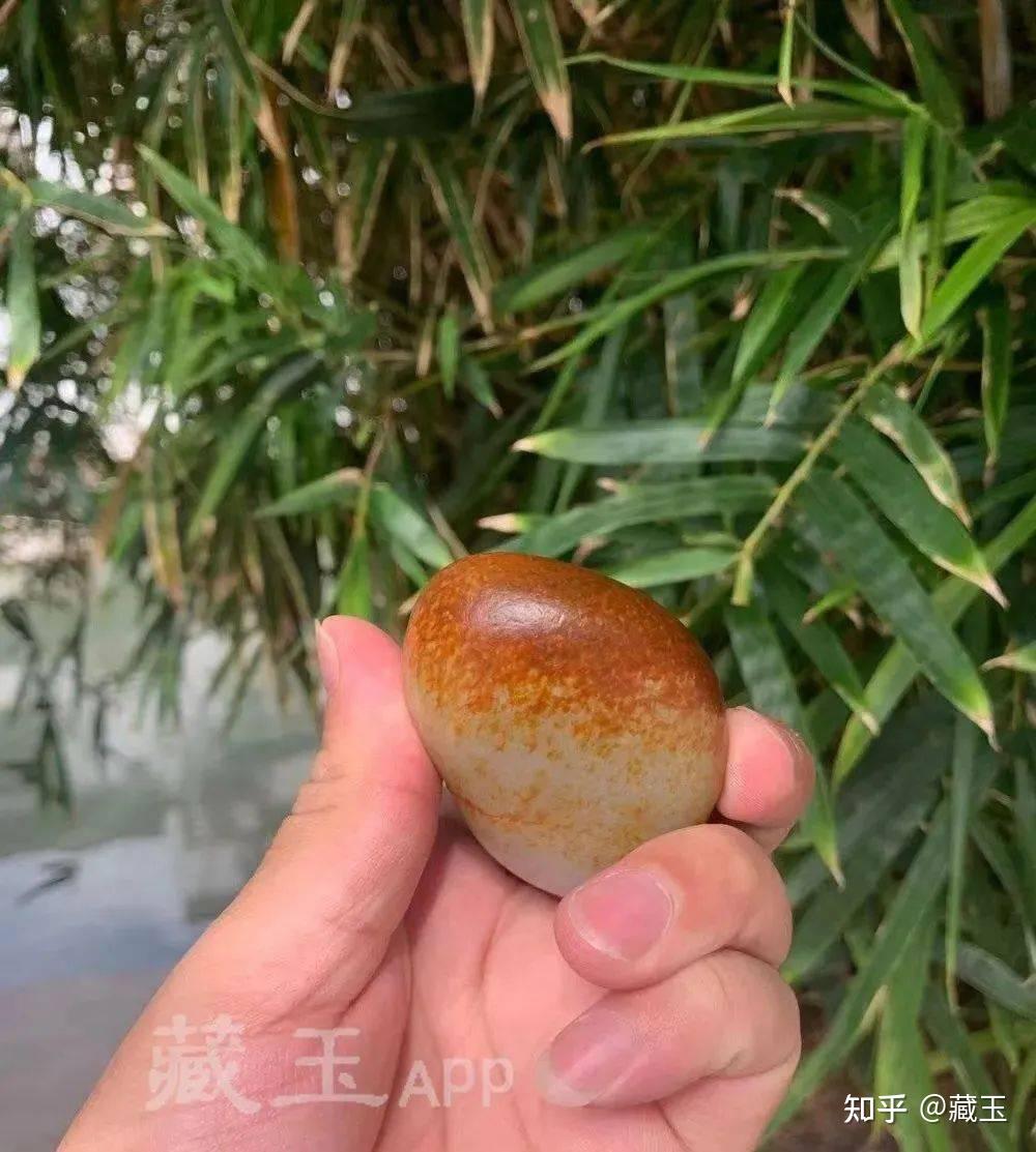 两个红皮籽料,一个30万,一个3000万! - 知乎