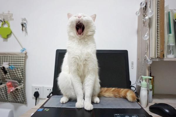 站起来后自己一脸懵逼,怎么蹲回去来着? 老子撞鬼啦!