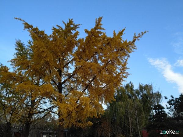 锤子Smartisan 坚果Pro2的拍照质量到底怎么样