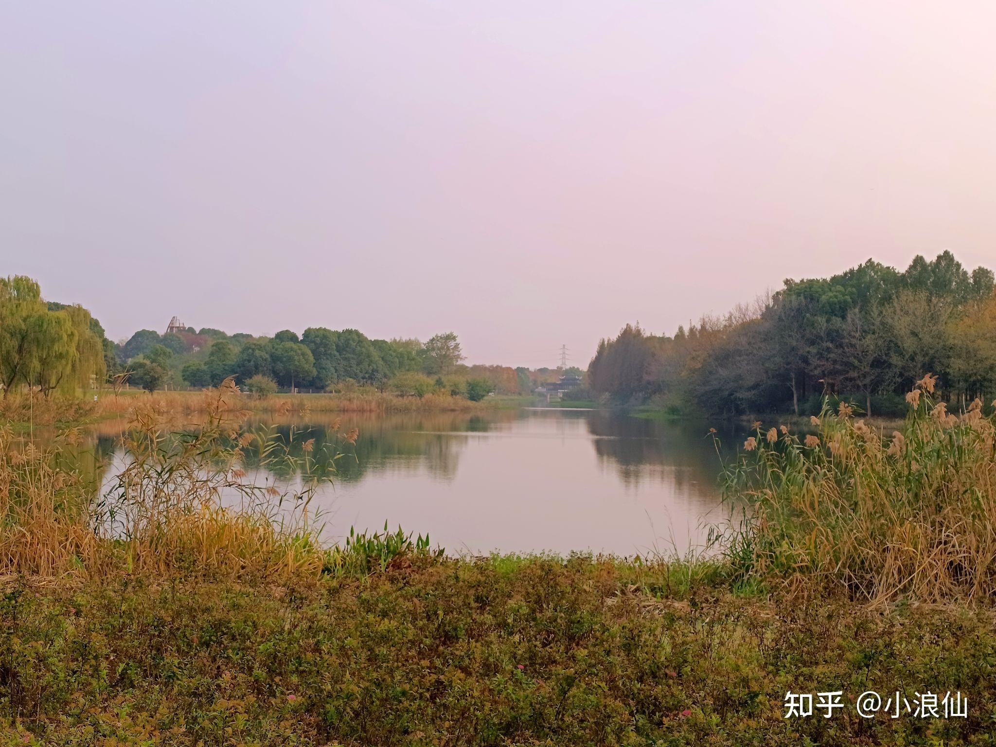 苏州虎丘湿地公园 - 知乎