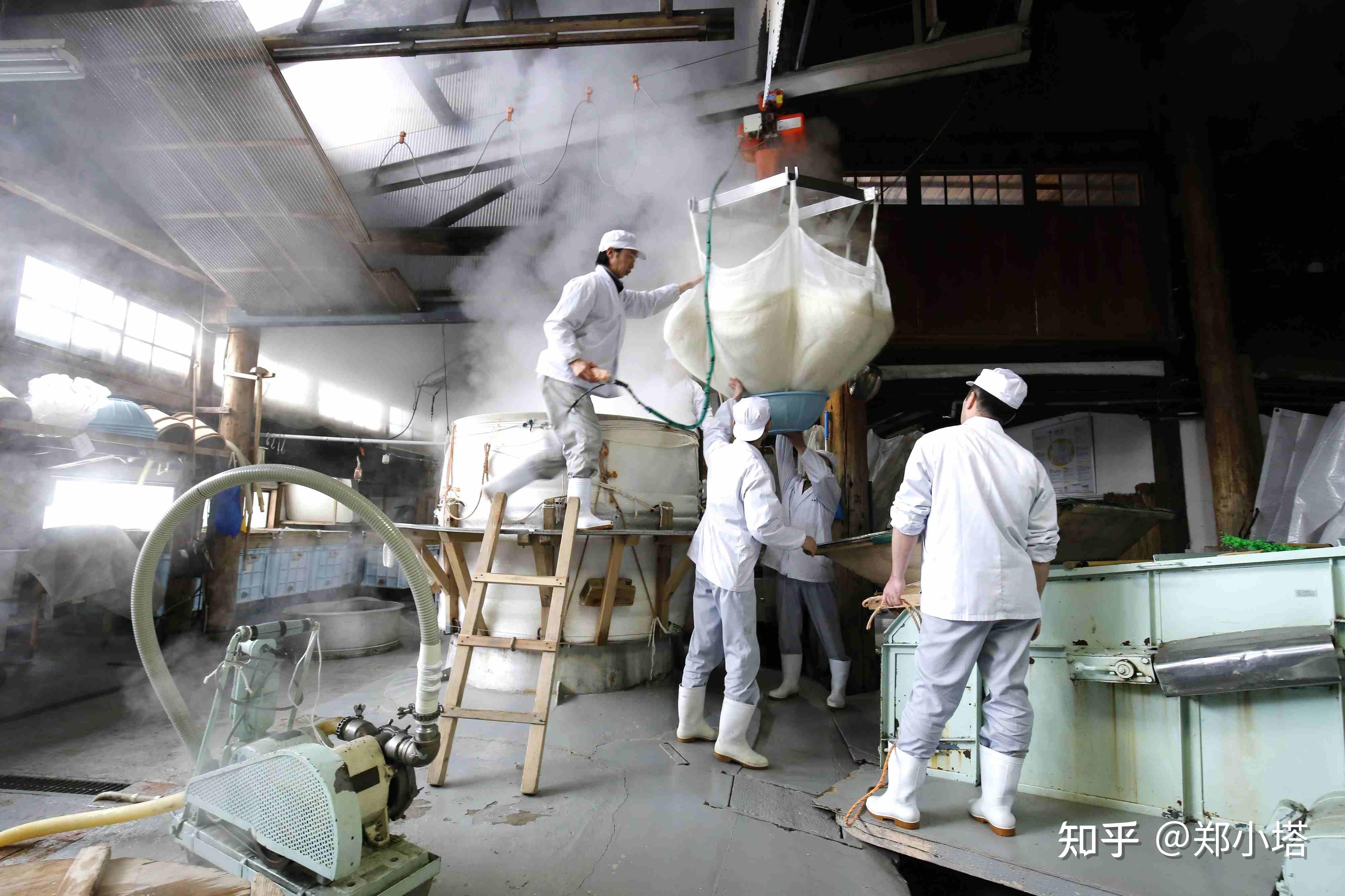 sake 日本清酒,是一種典型的發酵酒.