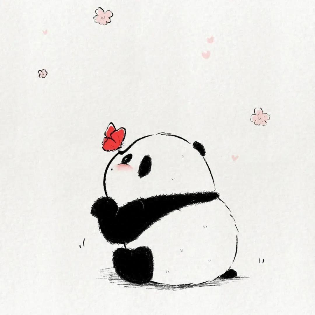 小熊猫