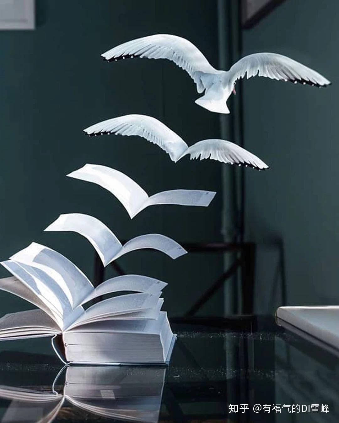 各路大神的创意脑洞,美炸了! - 知乎