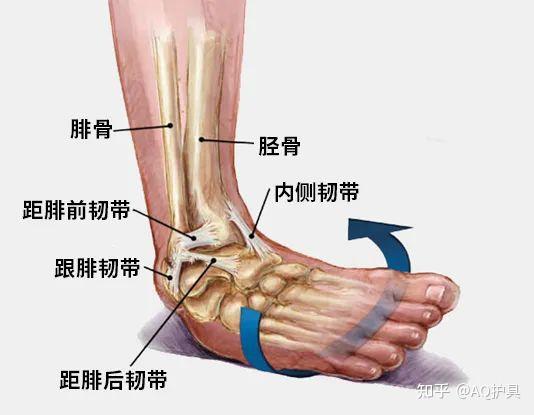 跟腓韧带损伤怎么办图片