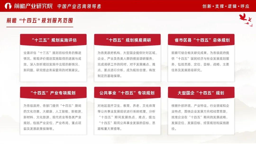 2020地方政府十四五规划编制要点指南