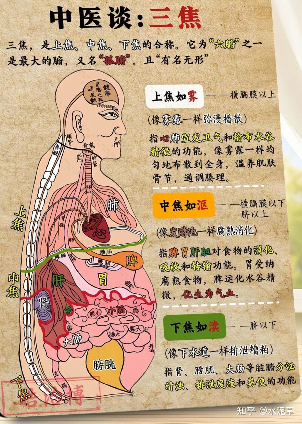 倪师讲:中焦不通小妙招 - 知乎