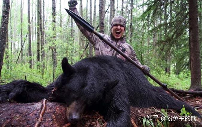关于猎熊的那些谣言和真实,看看你中了几条? - 知乎
