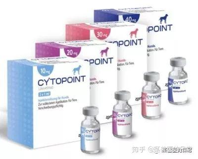 cytopoint immunotherapy