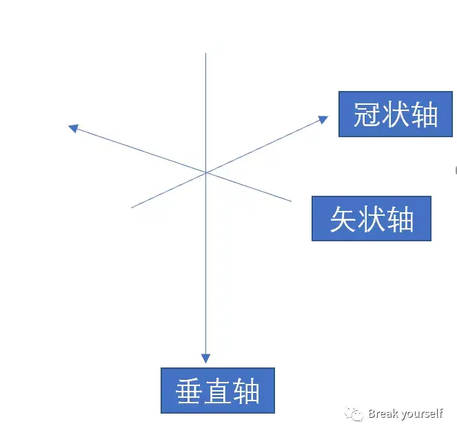 人体基本轴图片