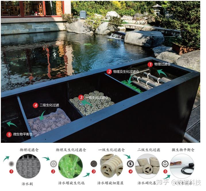 如何快速过滤鱼池 v2-d22aeacc31925eab4a8c68ff77369165_r.jpg