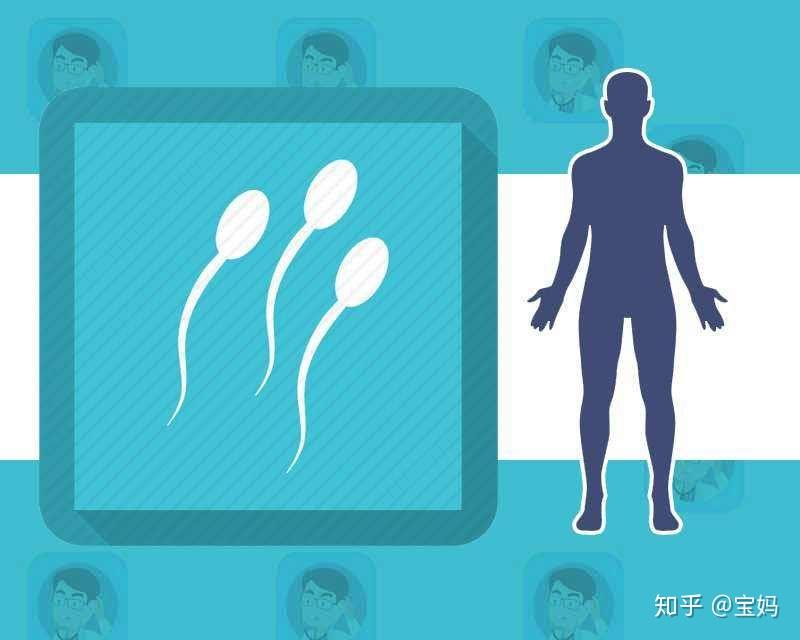 想要備孕生男孩準爸爸提高種子質量有哪些方法