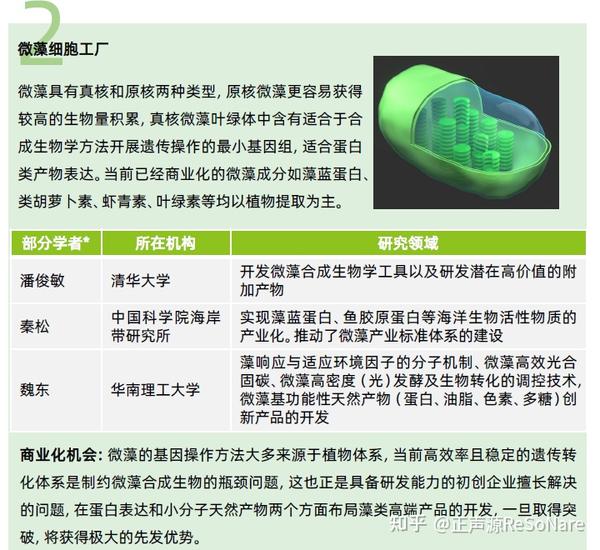 微藻:极具潜能的植物基新食品 - 知乎