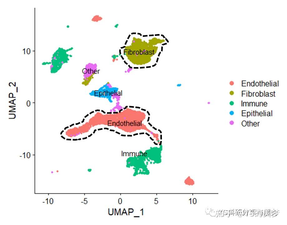 单细胞基因可视化之UMAP图修饰 - 知乎