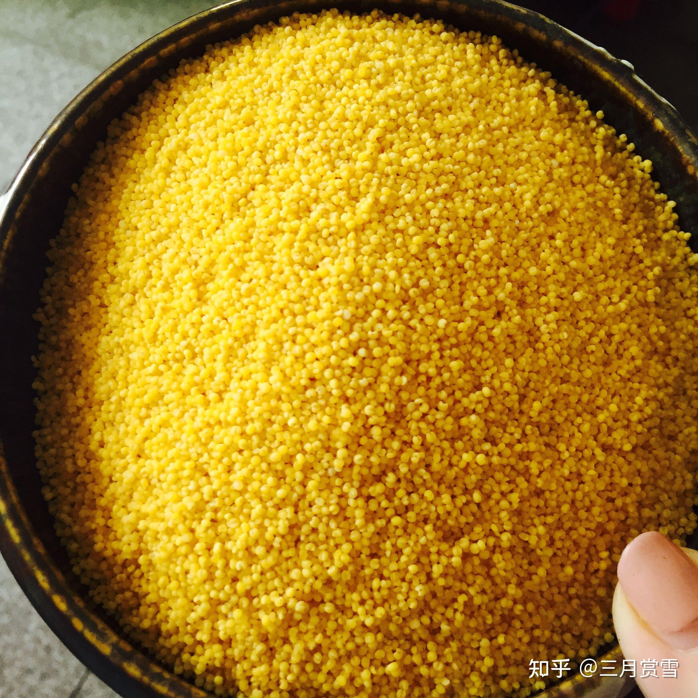 中国古代主要粮食作物分布及其变迁 - 知乎
