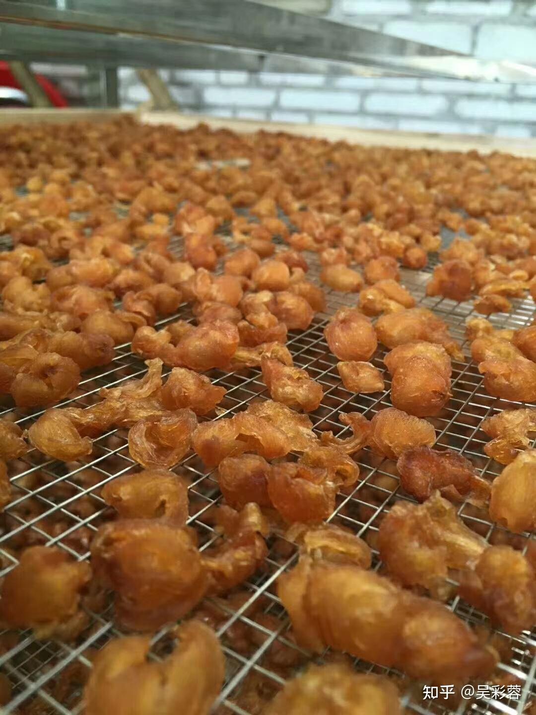 龙眼肉烘干工艺及空气能热泵龙眼肉烘干机的简介