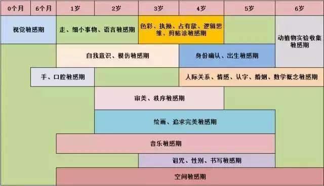 「童心童语分享」蒙台梭利教育术语解读:敏感期 - 知乎