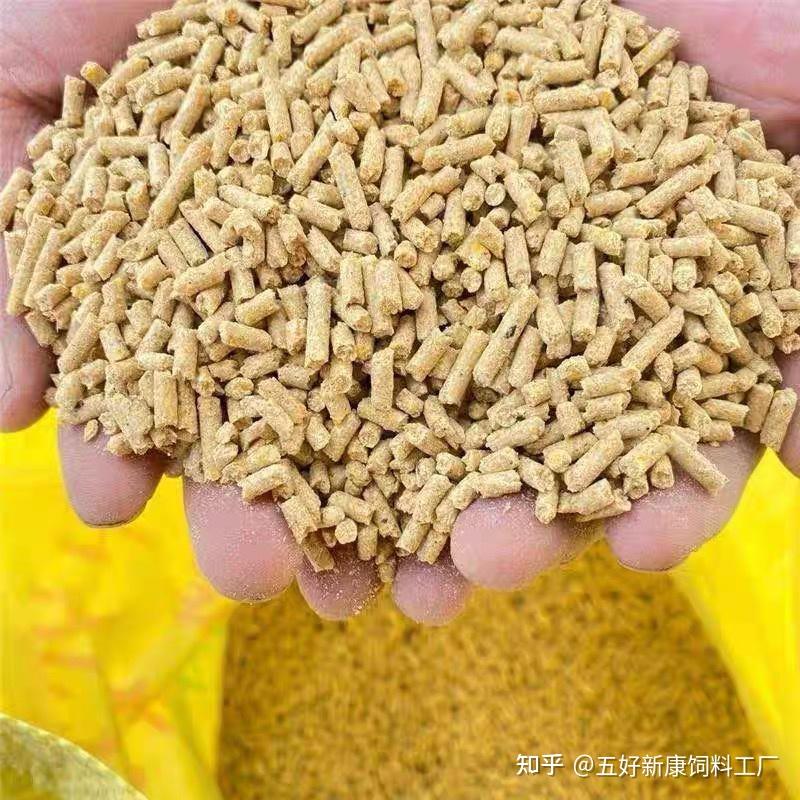 高温环境下饲料如何管理呢？ 知乎 