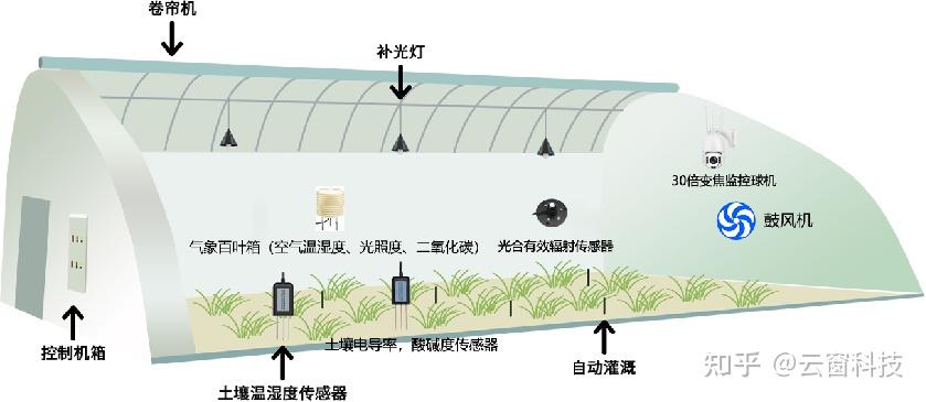 智慧大棚方案设计结构