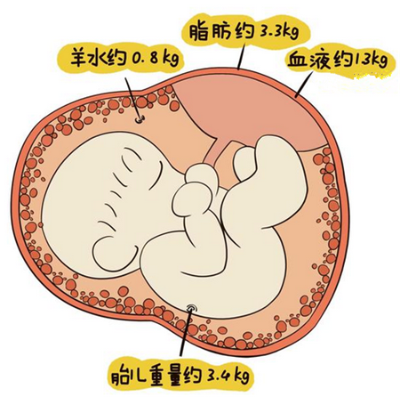 488%,其中"巨大儿"造成的难产死亡率高于顺产死亡率
