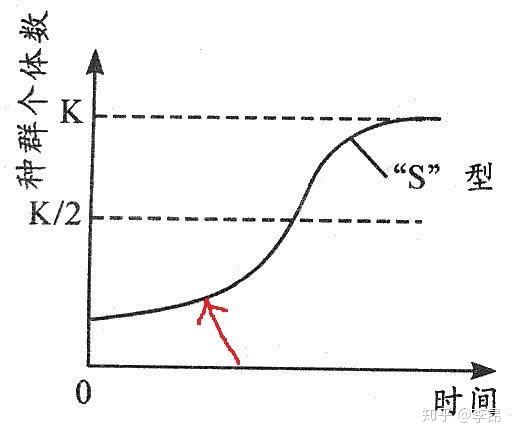 土耳其人口密度低_土耳其人口分布图