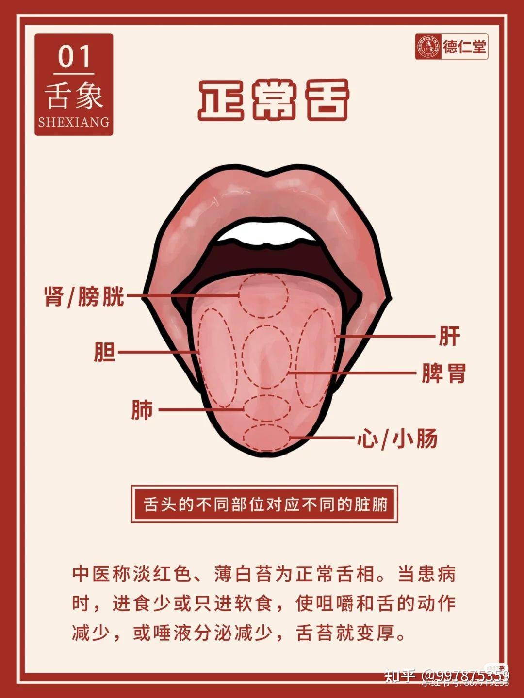 6种中医常见舌象 - 知乎