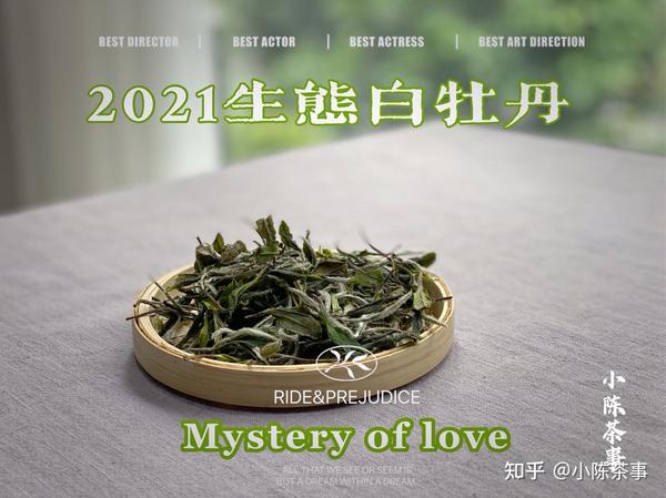 如何用盖碗泡出好茶 器型 角度 姿势 老茶客经验分享 不藏私 知乎