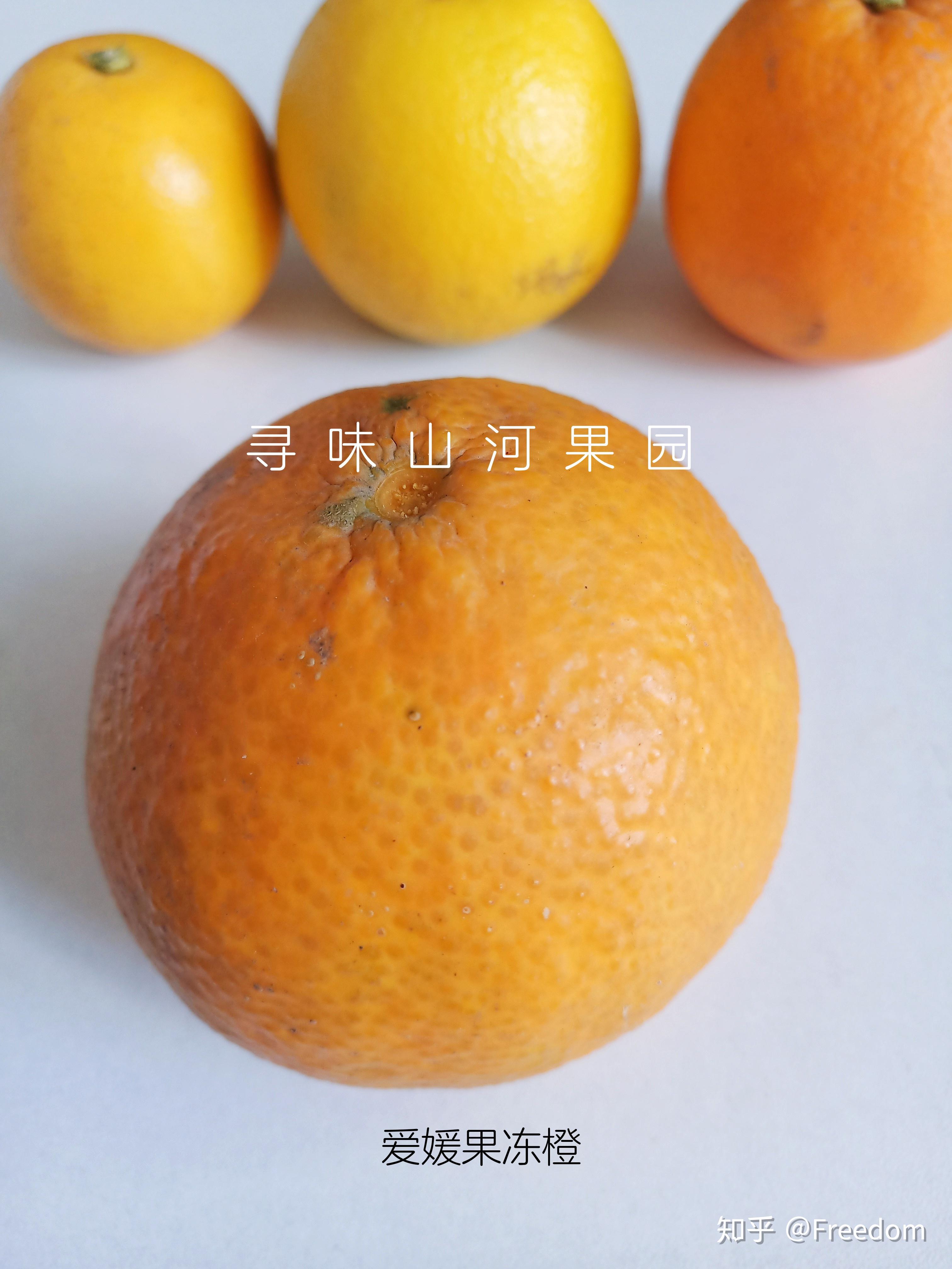 市面上各种橙子橘子的测评(持续更新中) - 知乎