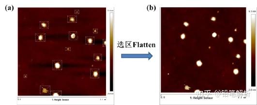 教程 || 最全AFM 离线软件NanoScope Analysis使用教程 - 知乎