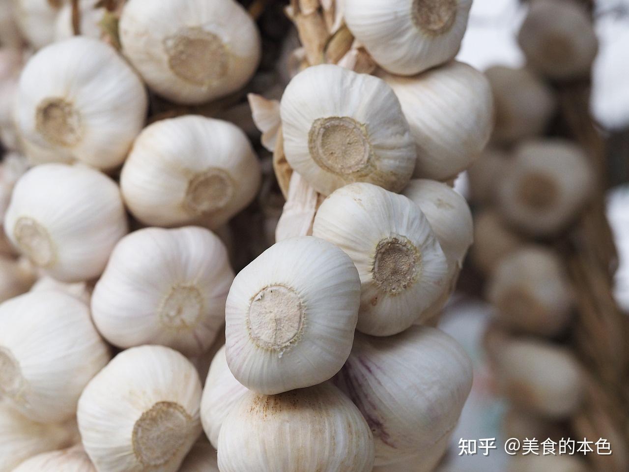 营养物质丰富的蒜,好吃又作用多多! - 知乎