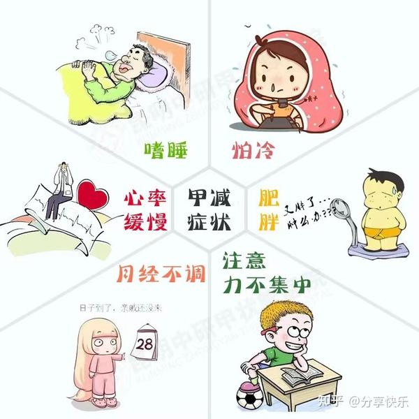 甲减患者的日常饮食与身体保健 - 知乎