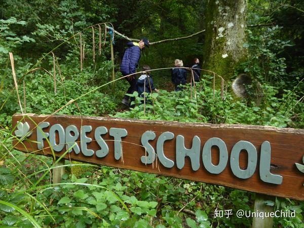 英国人给孩子的森林课程,原来自然教育可以这样玩