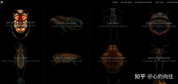 昆虫网站推荐统计 知乎