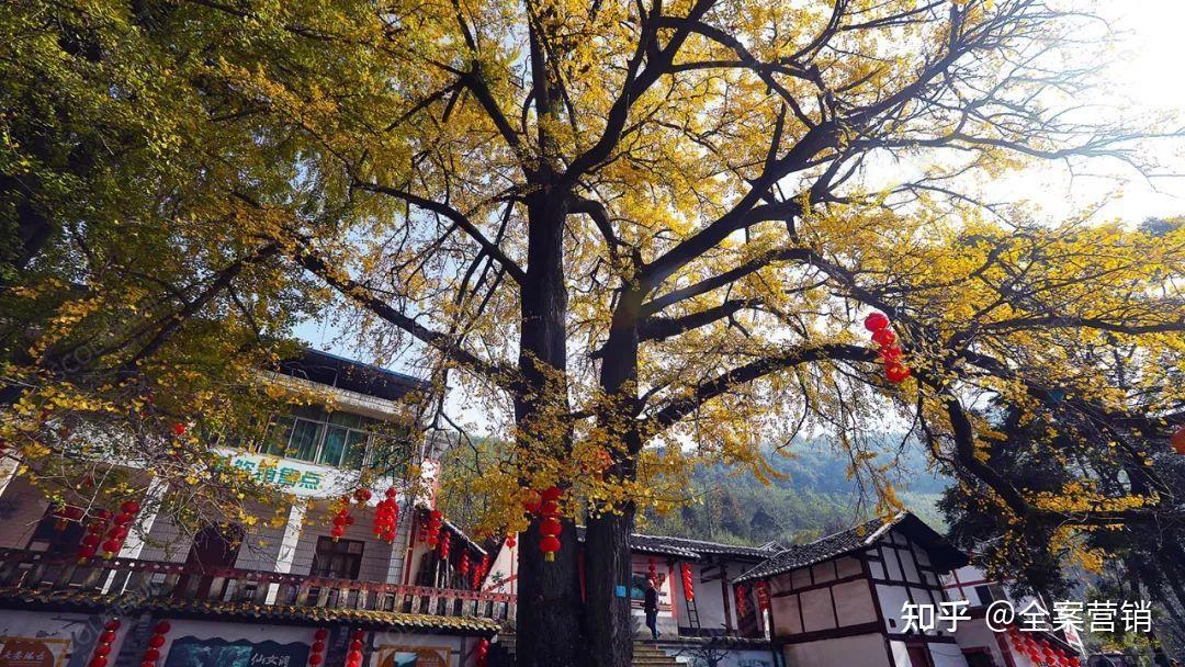 争创天府旅游名县|再见2022,细数那些时光里的小美好