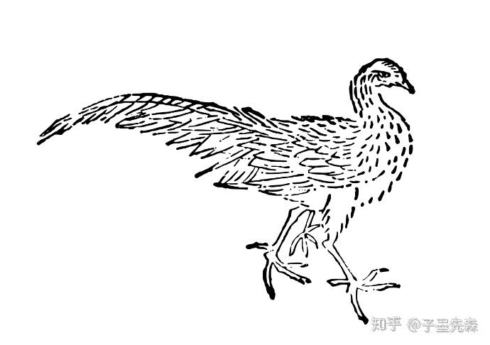 (2)瞿如:一种鸟,形状像鵁jiāo,头是白色的,三只脚,人脸,它的叫声就是