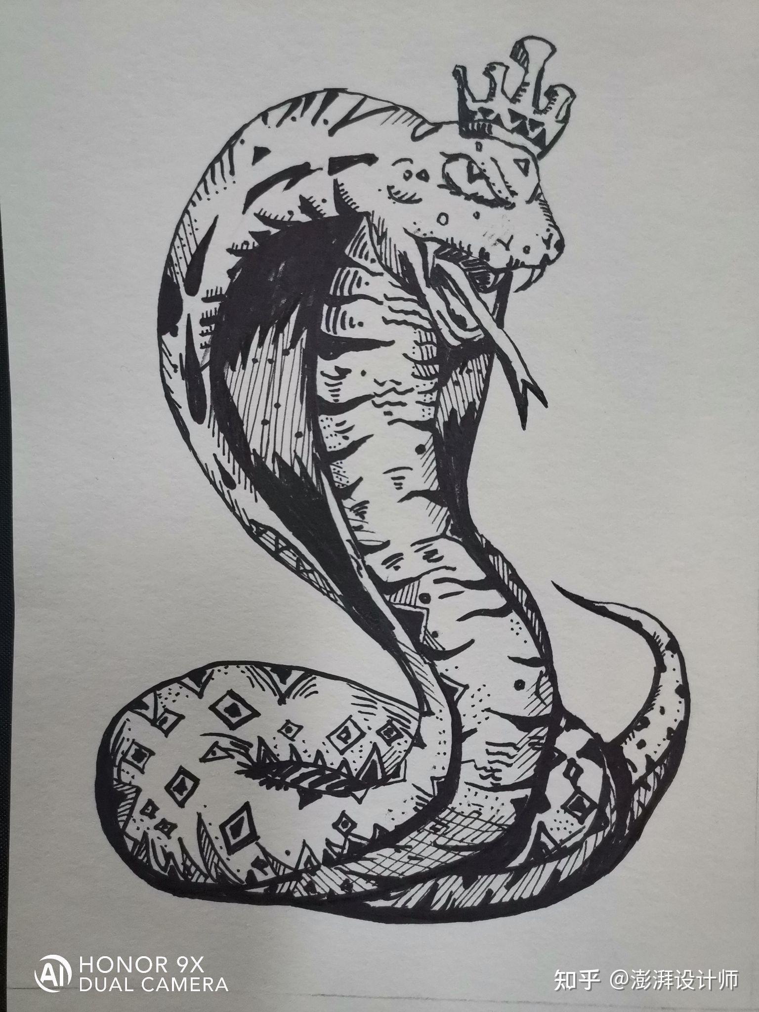 蛇的创意线描画图片