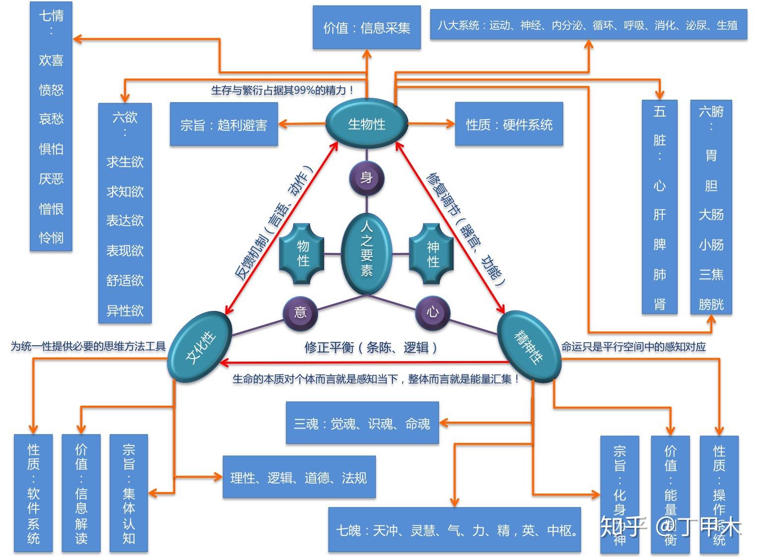 王东岳有限理性认知下的递弱代偿