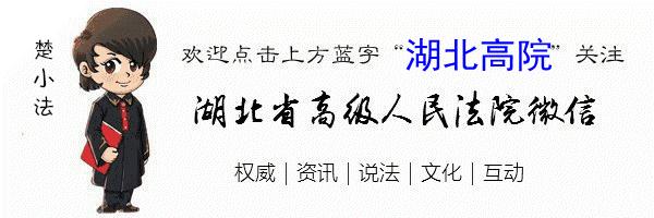 种下抗击疫情的“法治疫苗” ——湖北高院支援武汉社区工作组侧记