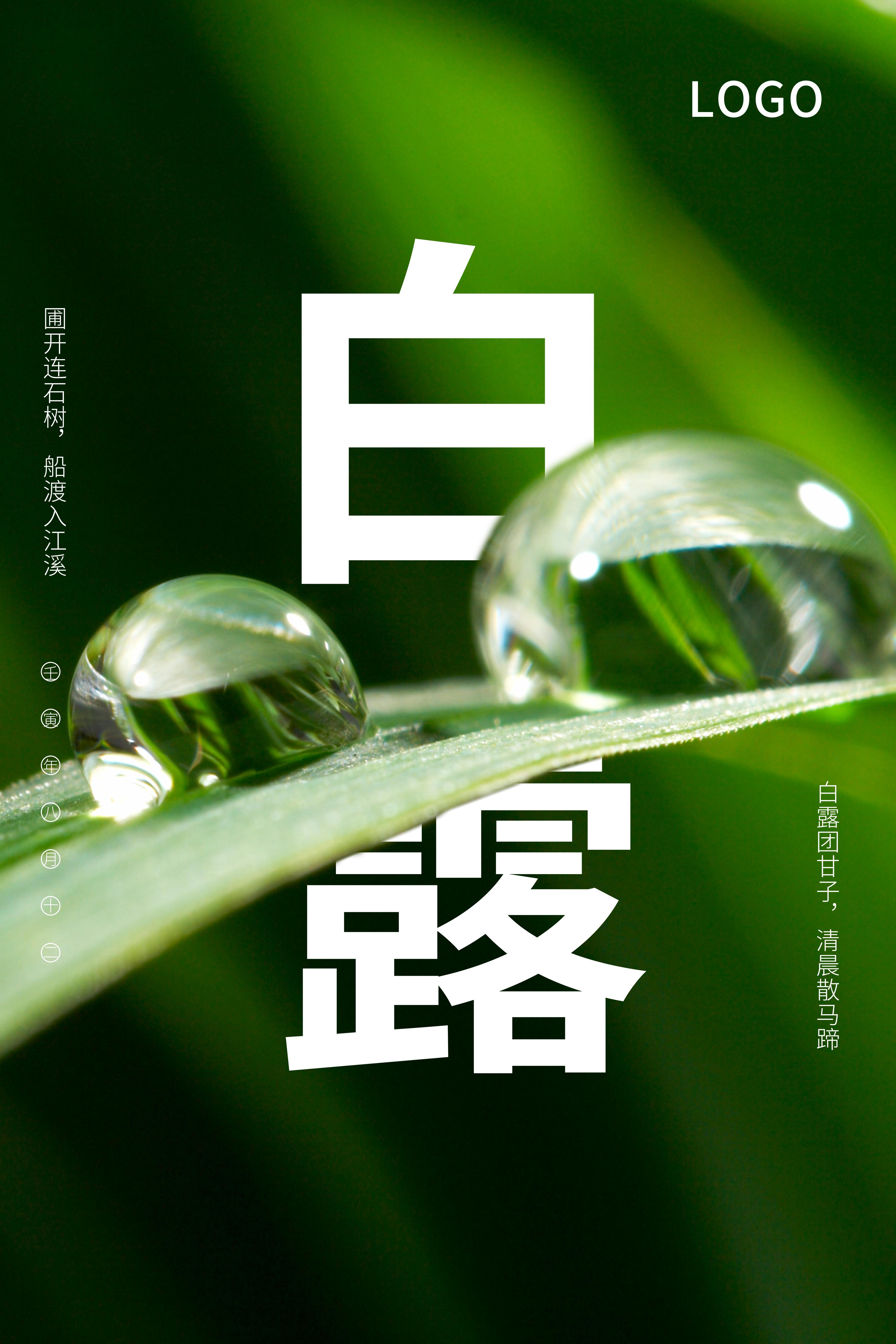 二十四节气—白露,蒹葭苍苍,白露为霜 知乎